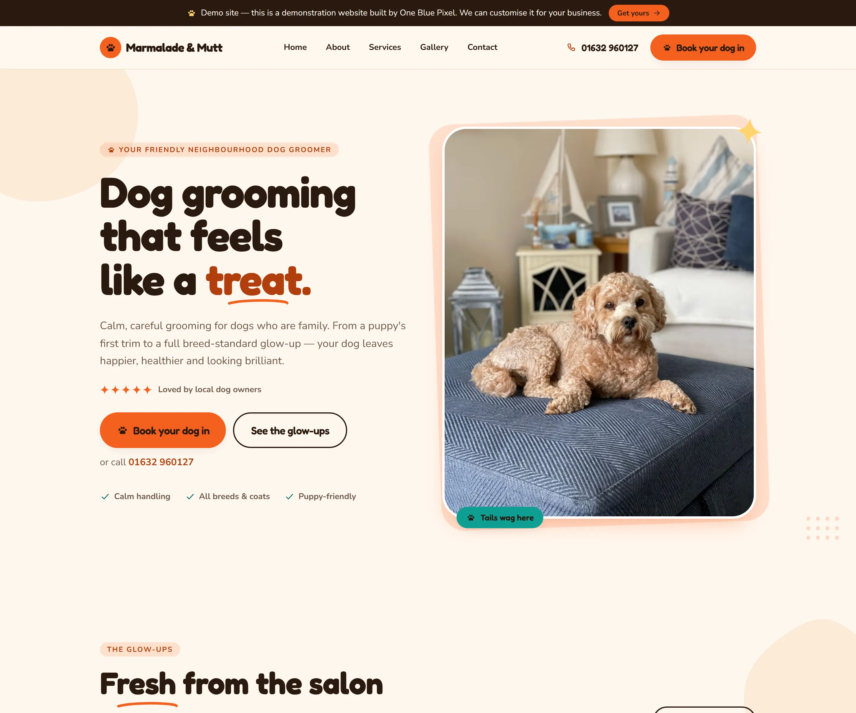 Design 06 website design