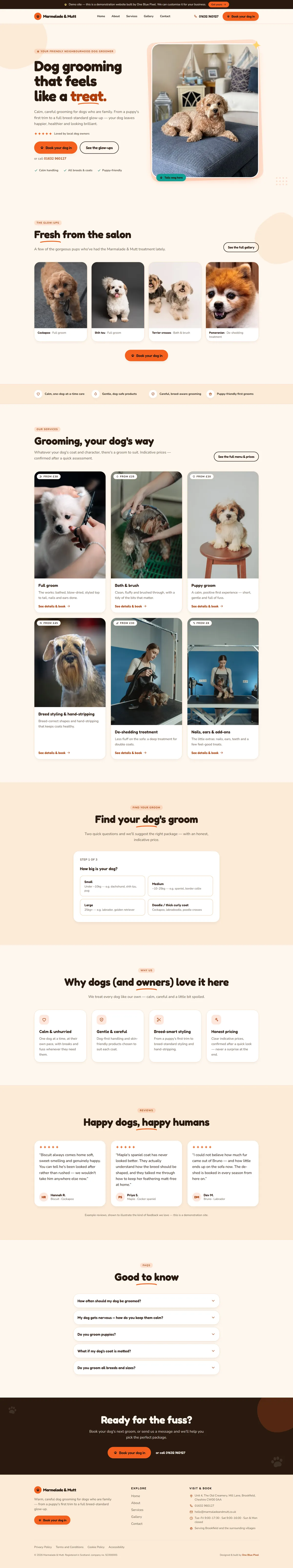 Design 06 full page